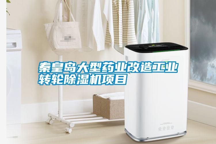 秦皇島大型藥業改造工業轉輪91视频链接下载項目