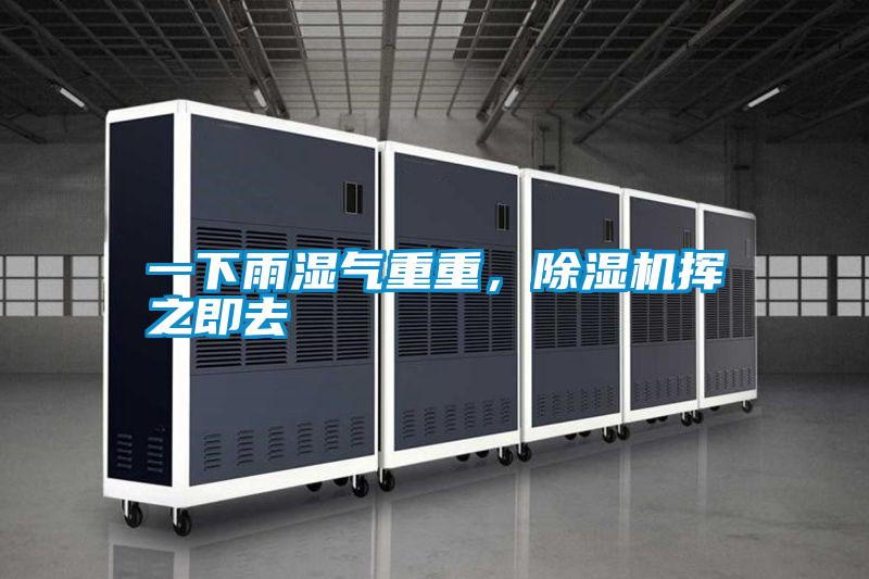 一下雨濕氣重重，91视频链接下载揮之即去