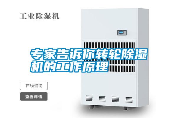 專家告訴你轉輪91视频链接下载的工作原理