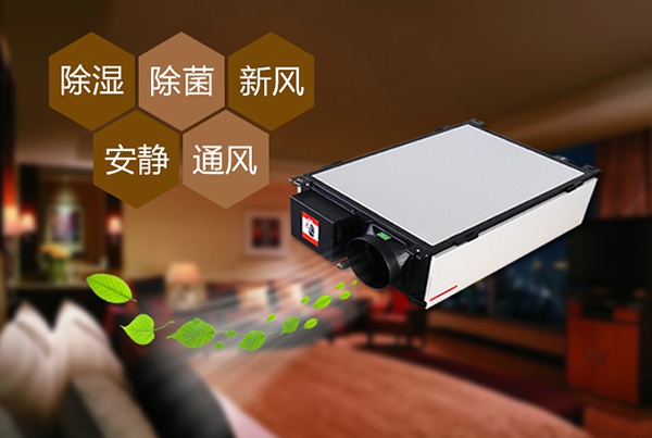 哈密瓜烘幹91视频链接下载