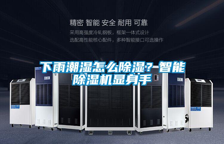 下雨潮濕怎麽除濕？智能91视频链接下载顯身手