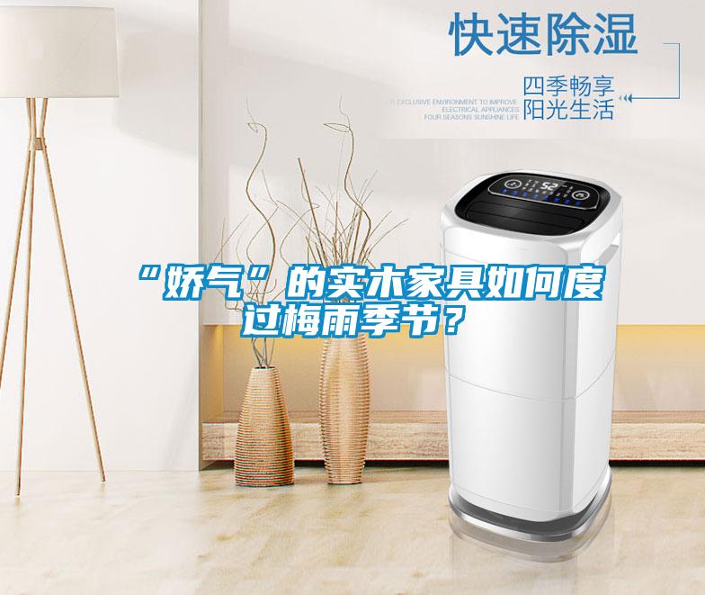 “嬌氣”的實木家具如何度過梅雨季節？