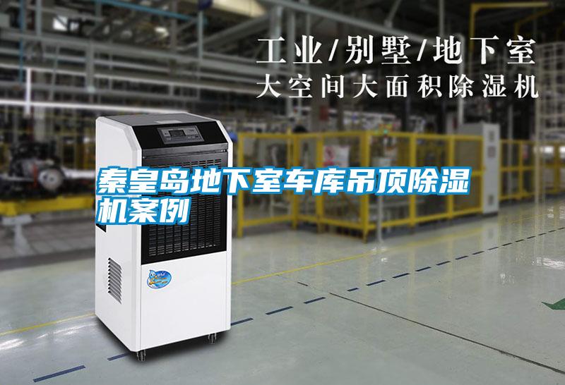 秦皇島地下室車庫吊頂91视频链接下载案例