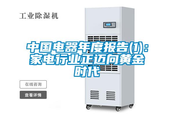 中國電器年度報告(1)：家電行業正邁向黃金時代