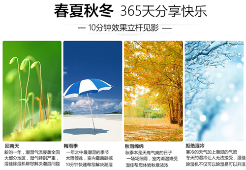 智能91视频链接下载