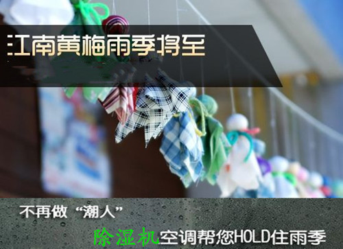 防潮91视频链接下载