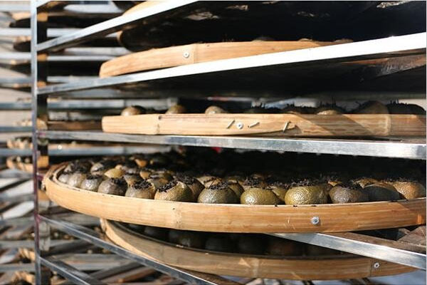 1527217512509796.jpg 柑普茶烘幹擺放.jpg