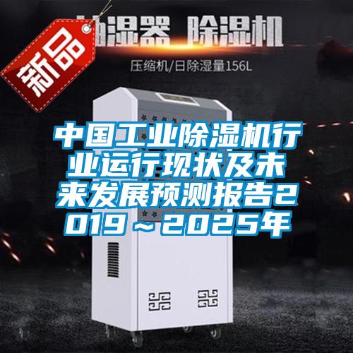 中國工業91视频链接下载行業運行現狀及未來發展預測報告2019～2025年