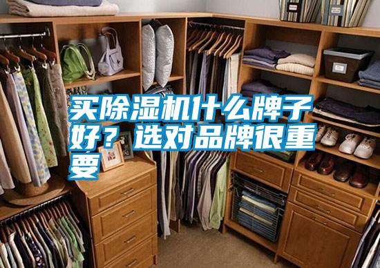 買91视频链接下载什麽牌子好？選對品牌很重要