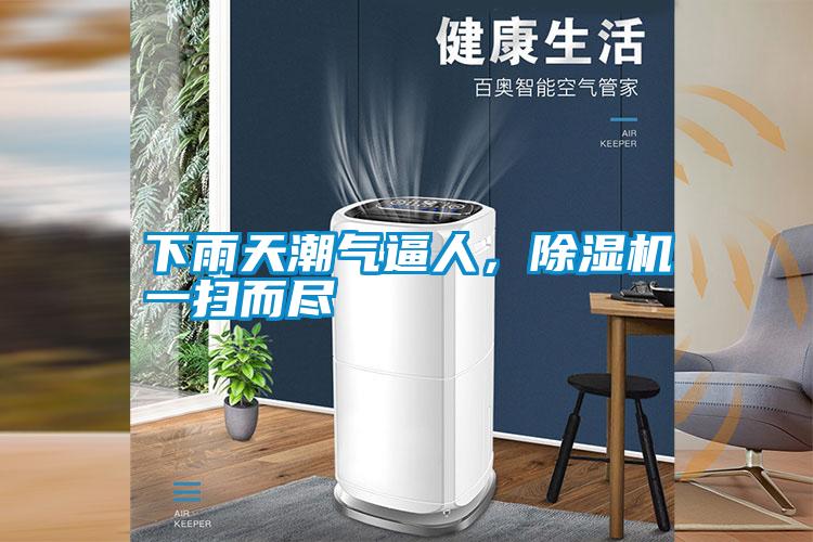 下雨天潮氣逼人，91视频链接下载一掃而盡