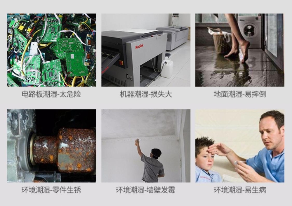 智能91视频链接下载