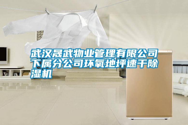 武漢晟武物業管理有限公司下屬分公司環氧地坪速幹91视频链接下载