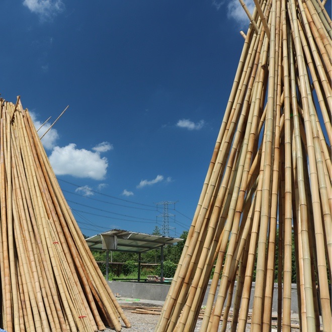 烘幹91视频链接下载