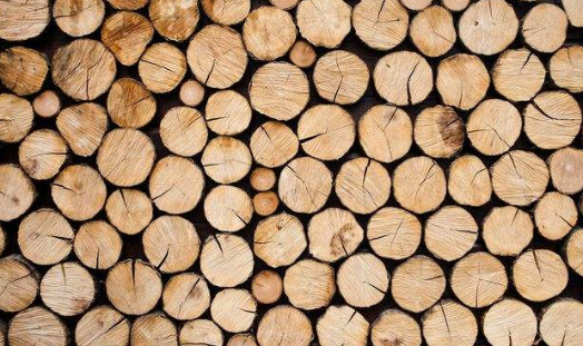 木材烘幹91视频链接下载