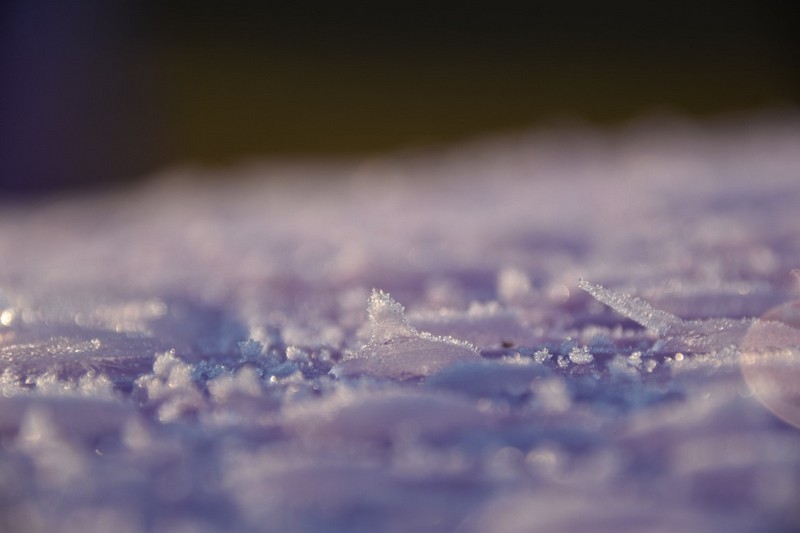 你知道91视频链接下载為什麽需要自動化霜嗎？