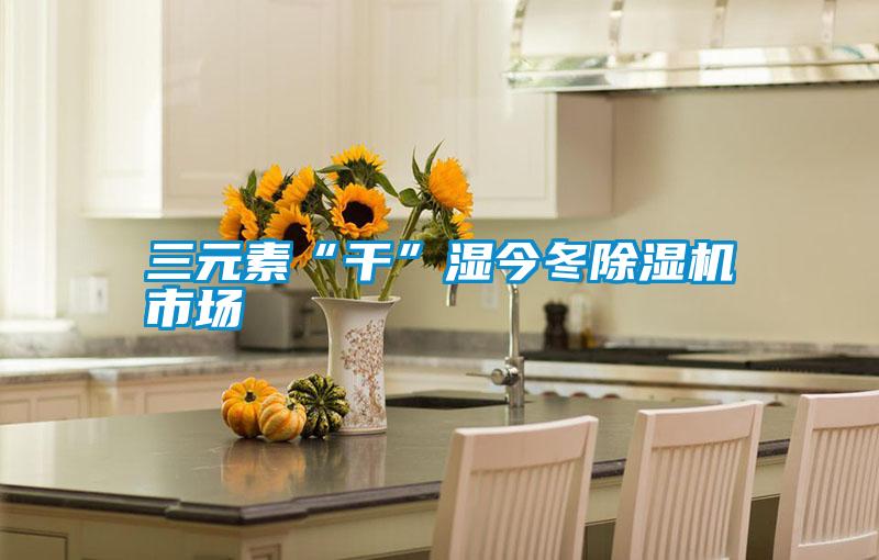 三元素“幹”濕今冬91视频链接下载市場