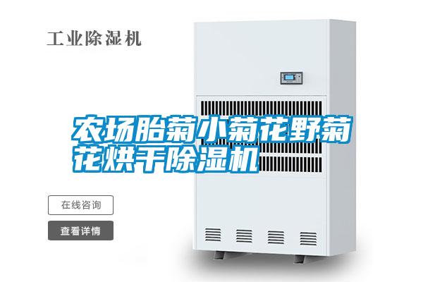 農場胎菊小菊花野菊花烘幹91视频链接下载