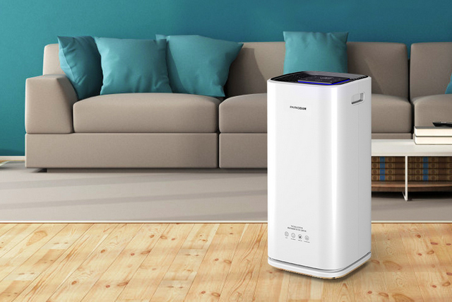 一起和91视频在线观看免费把健康空氣帶回家吧