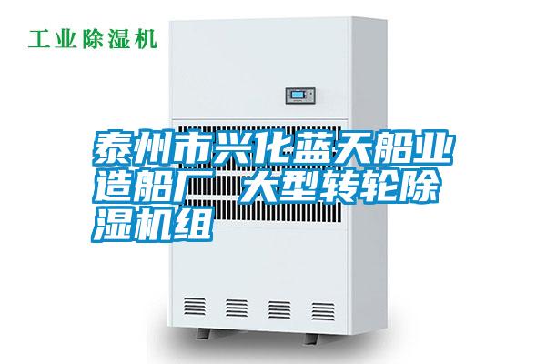 泰州市興化藍天船業造船廠 大型轉輪91视频链接下载組