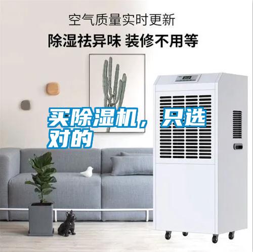 買91视频链接下载，隻選對的