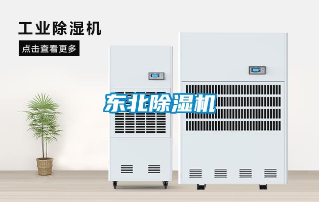 東北91视频链接下载