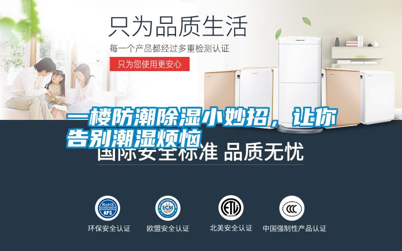 一樓防潮除濕小妙招，讓你告別潮濕煩惱