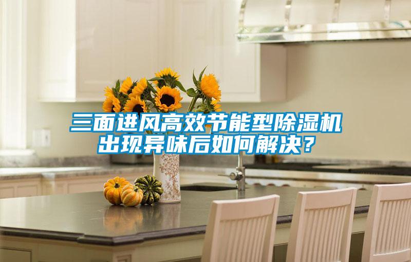 三麵進風高效節能型91视频链接下载出現異味後如何解決？