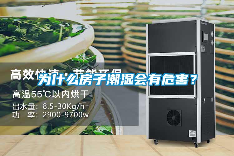 為什麽房子潮濕會有危害？