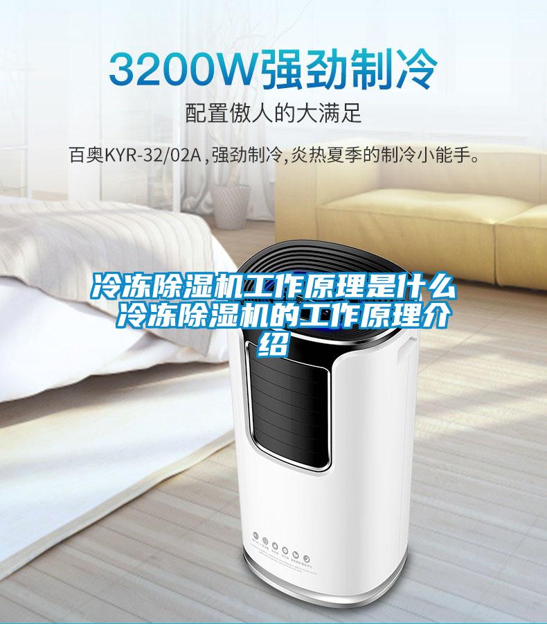 冷凍91视频链接下载工作原理是什麽 冷凍91视频链接下载的工作原理介紹