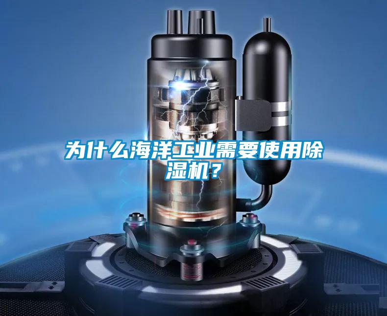 為什麽海洋工業需要使用91视频链接下载？