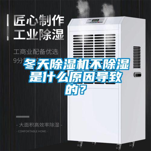 冬天91视频链接下载不除濕是什麽原因導致的？