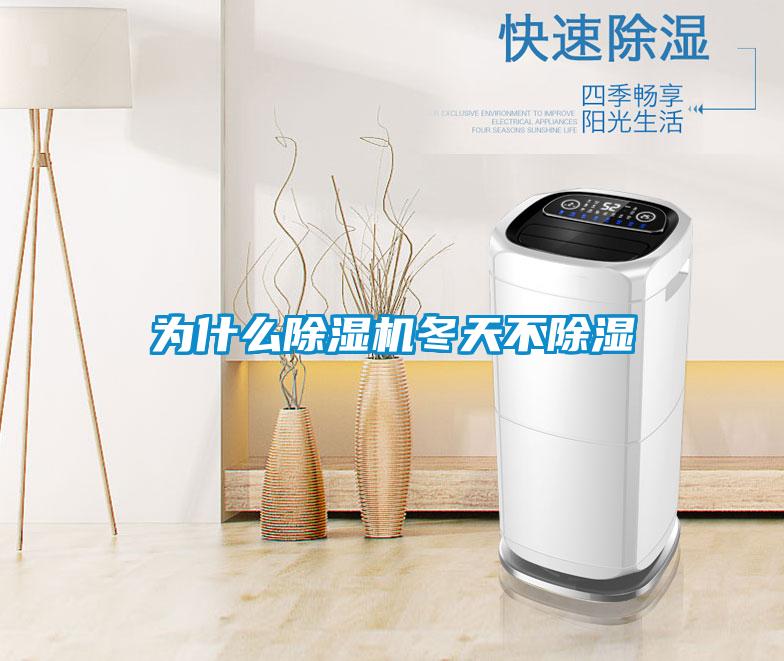 為什麽91视频链接下载冬天不除濕