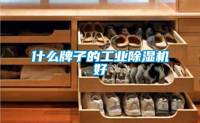 什麽牌子的工業91视频链接下载好