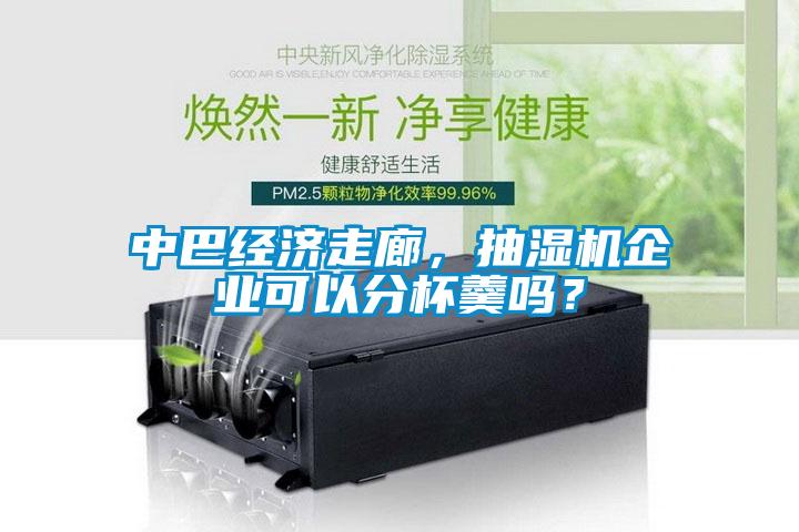 中巴經濟走廊，抽濕機企業可以分杯羹嗎？