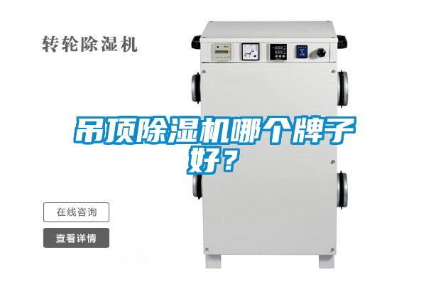 吊頂91视频链接下载哪個牌子好？