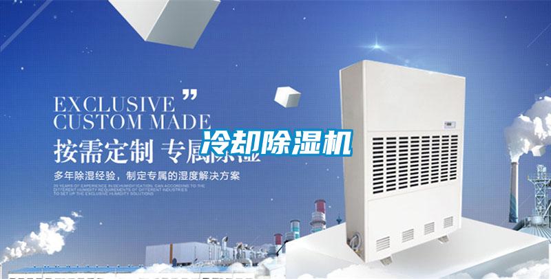 冷卻91视频链接下载