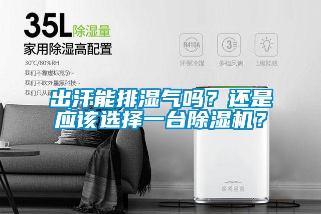 出汗能排濕氣嗎？還是應該選擇一台91视频链接下载？