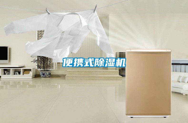 便攜式91视频链接下载