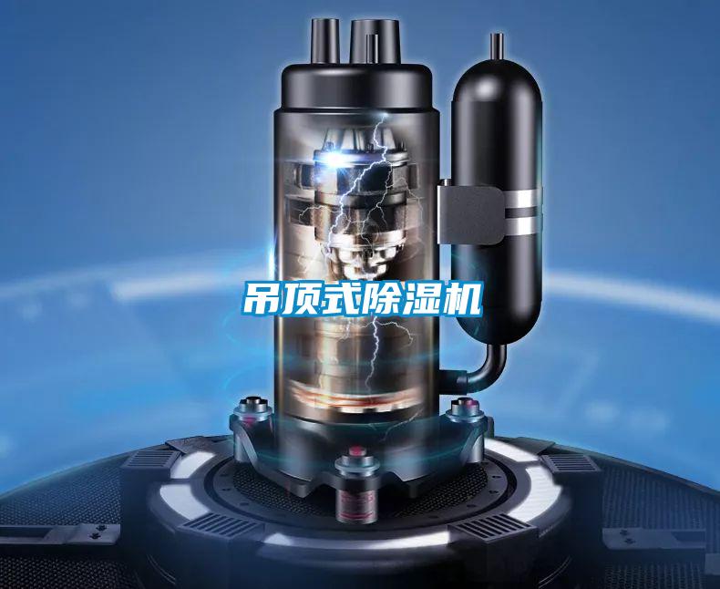 吊頂式91视频链接下载