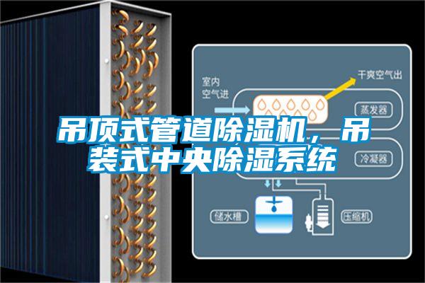 吊頂式管道91视频链接下载，吊裝式中央除濕係統