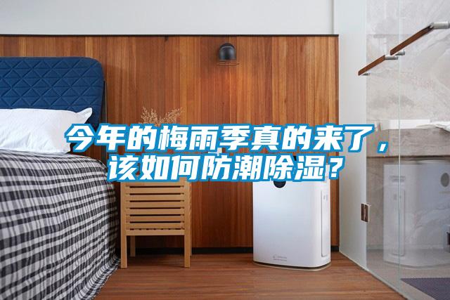 今年的梅雨季真的來了，該如何防潮除濕？