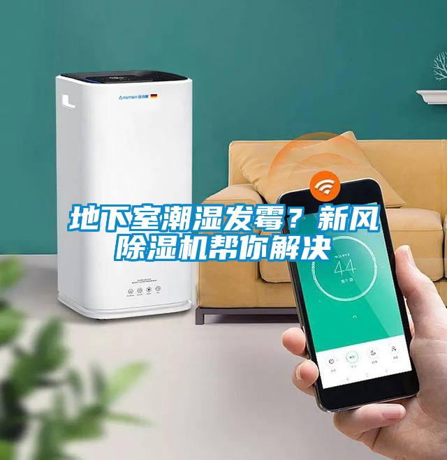 地下室潮濕發黴？新風91视频链接下载幫你解決