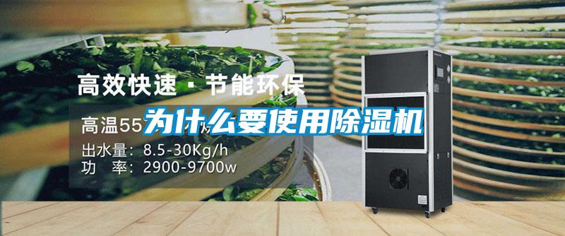 為什麽要使用91视频链接下载