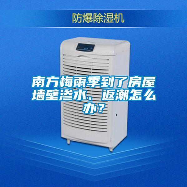南方梅雨季到了房屋牆壁滲水、返潮怎麽辦？