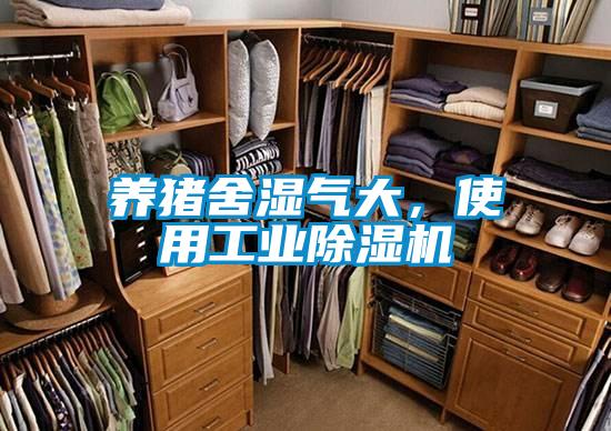 養豬舍濕氣大，使用工業91视频链接下载