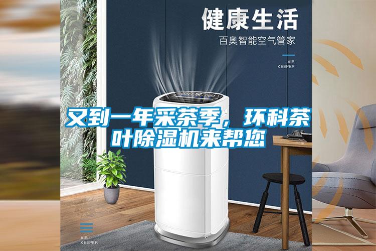 又到一年采茶季，環科茶葉91视频链接下载來幫您