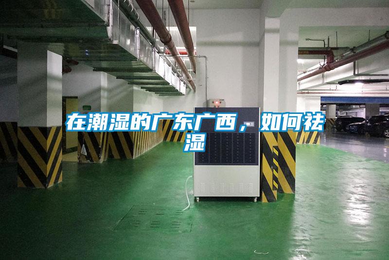 在潮濕的廣東廣西，如何祛濕