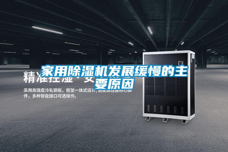 家用91视频链接下载發展緩慢的主要原因