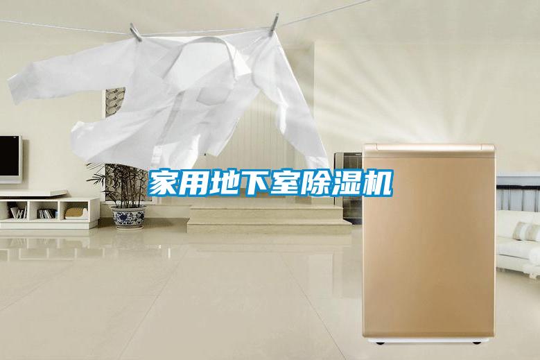 家用地下室91视频链接下载