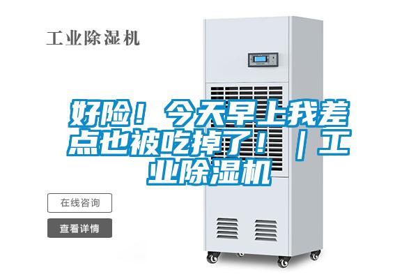 好險！今天早上我差點也被吃掉了！｜工業91视频链接下载